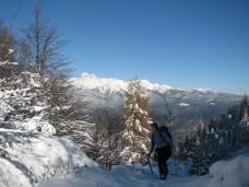 Klik za večjo sliko